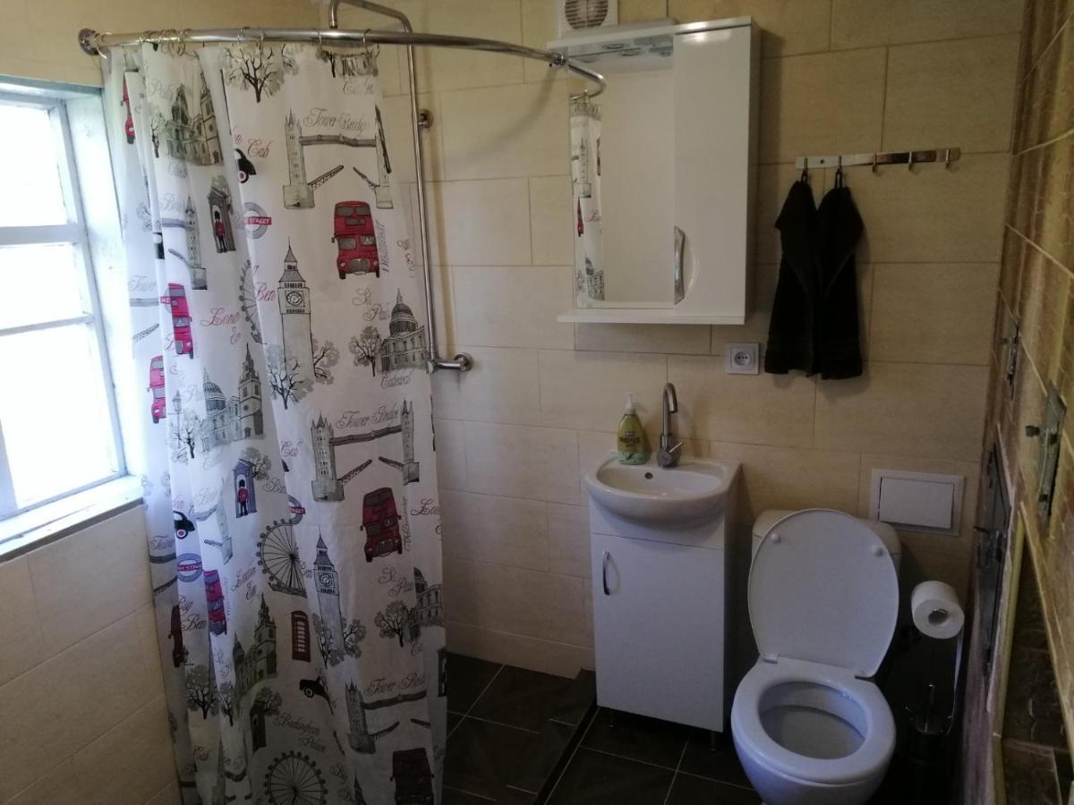 Villa У Катерини à Dvozhets Extérieur photo