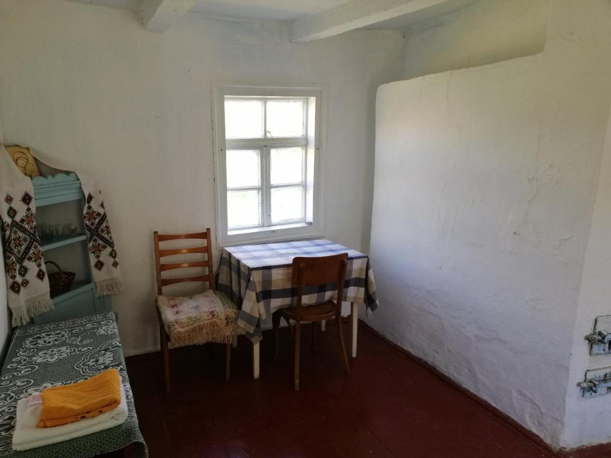 Villa У Катерини à Dvozhets Extérieur photo