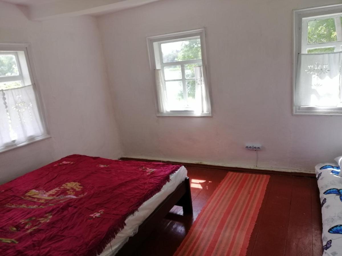 Villa У Катерини à Dvozhets Extérieur photo