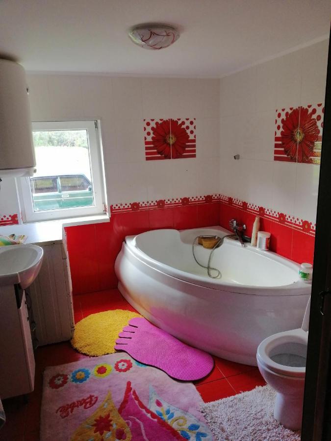 Villa У Катерини à Dvozhets Extérieur photo