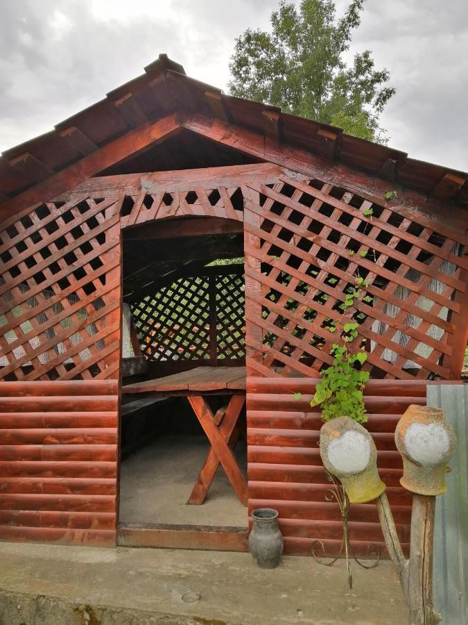 Villa У Катерини à Dvozhets Extérieur photo